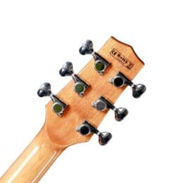 guitare acoustique Magna