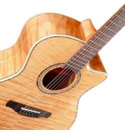 guitare acoustique Magna