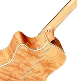 guitare acoustique Magna