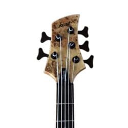 Une basse de 05 cordes de la famille OEM/ODM
