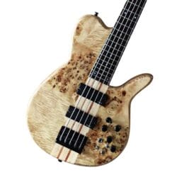 Une basse de 05 cordes de la famille OEM/ODM