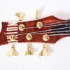 Une basse de 05 cordes de la famille OEM/ODM