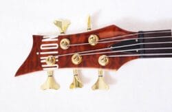 IMG-20250131-WA0309 Une basse de 05 cordes de la famille OEM/ODM