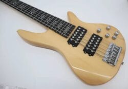 Une basse de 06 cordes