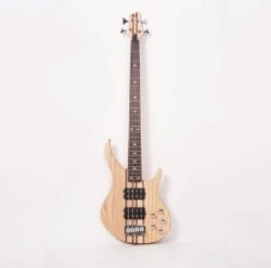 La basse MAGNA 04 cordes