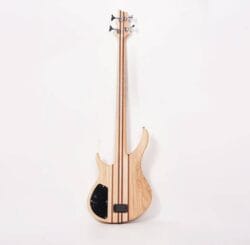 La basse MAGNA 04 cordes