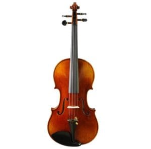 Violon Professionnel