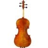 Violon Professionnel Echantillon