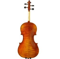 Violon Professionnel Echantillon
