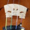 Violon Professionnel Echantillon