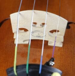 Violon Professionnel Echantillon