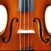 Violon Professionnel Echantillon