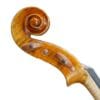 Violon Professionnel Echantillon