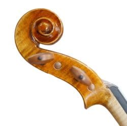 Violon Professionnel Echantillon