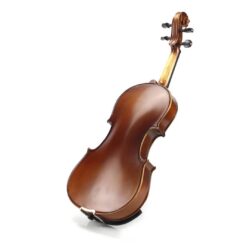 Le violon 201D Echantillon