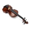 Le violon 201D Echantillon