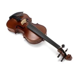 Le violon 201D Echantillon