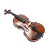 Le violon 201D Echantillon