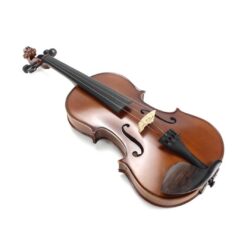 Le violon 201D Echantillon