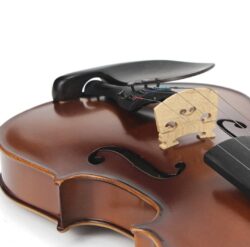 Le violon 201D Echantillon