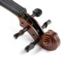 Le violon 201D Echantillon