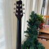 la Guitare Q Carbon Ovation (Minimum5)