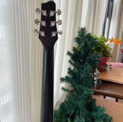 la Guitare Q Carbon Ovation (Minimum5)