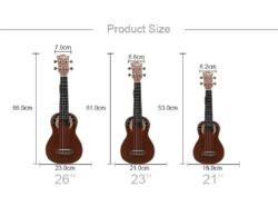 Ukulélé pour concert (Minimum 30)