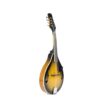 La mandoline électrique