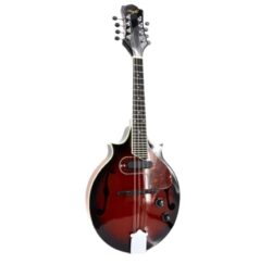 La mandoline électrique