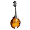La mandoline électrique