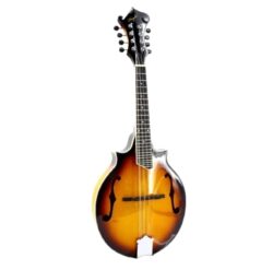 La mandoline électrique