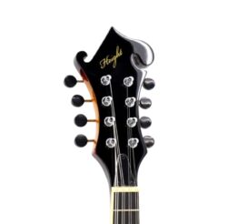 La mandoline électrique