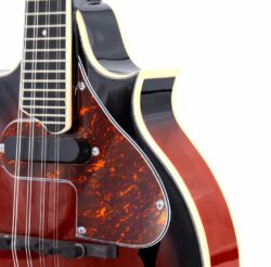 La mandoline électrique