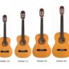 Guitare classique EKO CS-2, CS-5 Natural