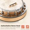 Le banjo HUASHENG HSBZ05